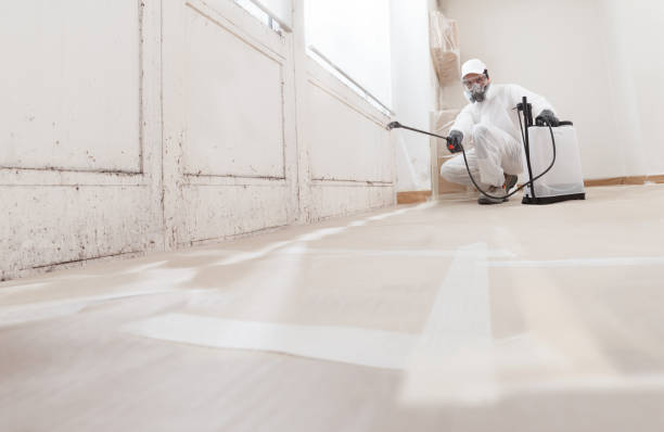 24/7 Emergency Mold Remediation experts in Evergreen, CO