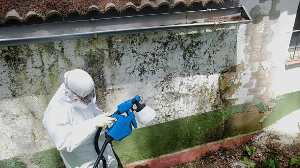 Top rated local Mold Remediation specialists in Evergreen, CO